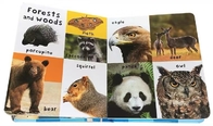 Offset Printing Hardcover Children'S Books Gloss Lamination
